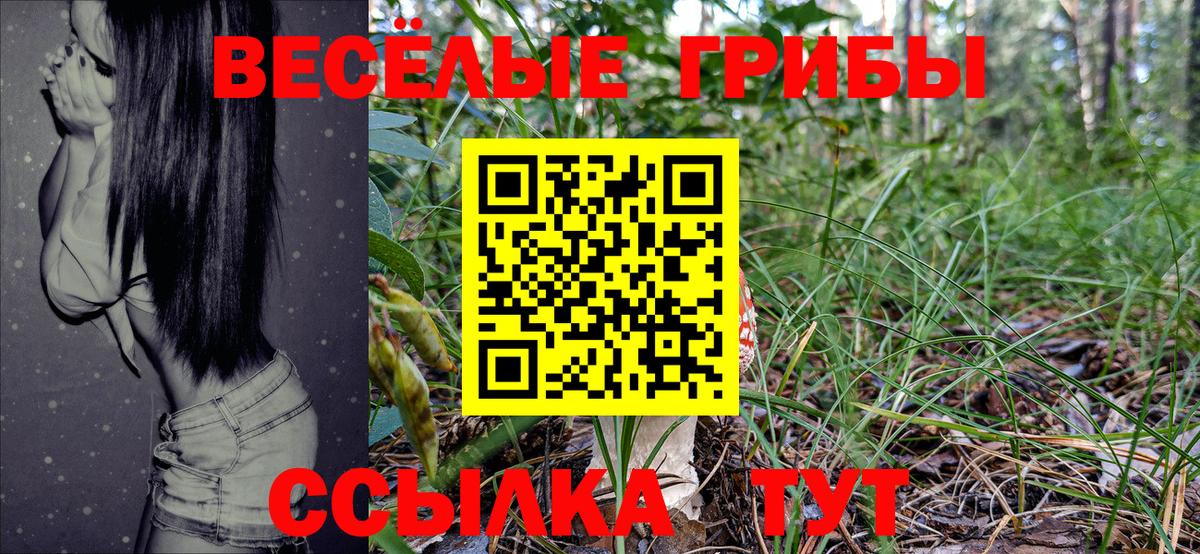Псилоцибиновые грибы Psilocybine cubensis  магазин    Ногинск  Вход с VPN 